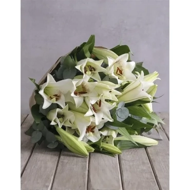 elegant lillies