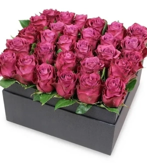 echanted pruple roses