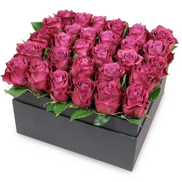 Enchanted Purple Roses