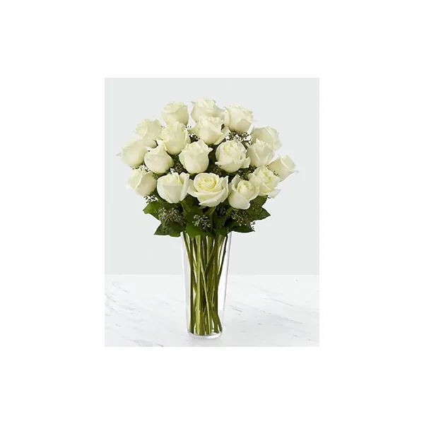 Enchanted White roses