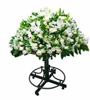 VIP Farewell Package 600