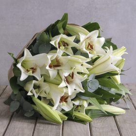 LOVELY LILIES